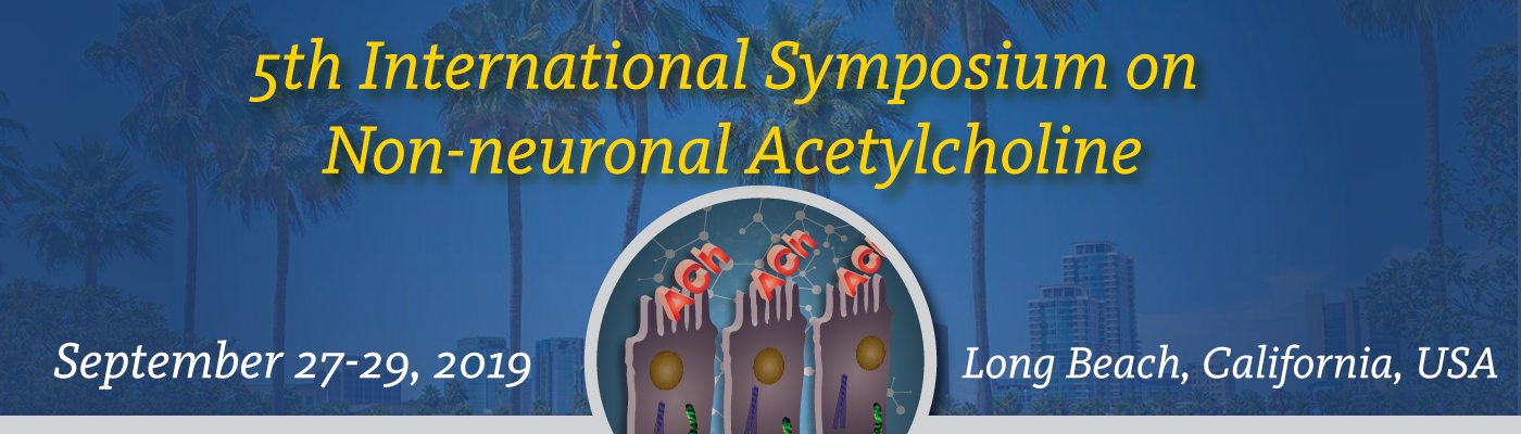 2019 Non-neuronal Acetylcholine International Symposium: From Bench to Bedside