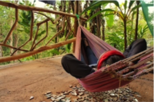 I adapted to hammocks immediately; no questions, concerns, or complaints.