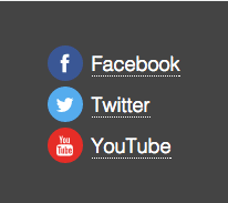 Social Icons - Footer