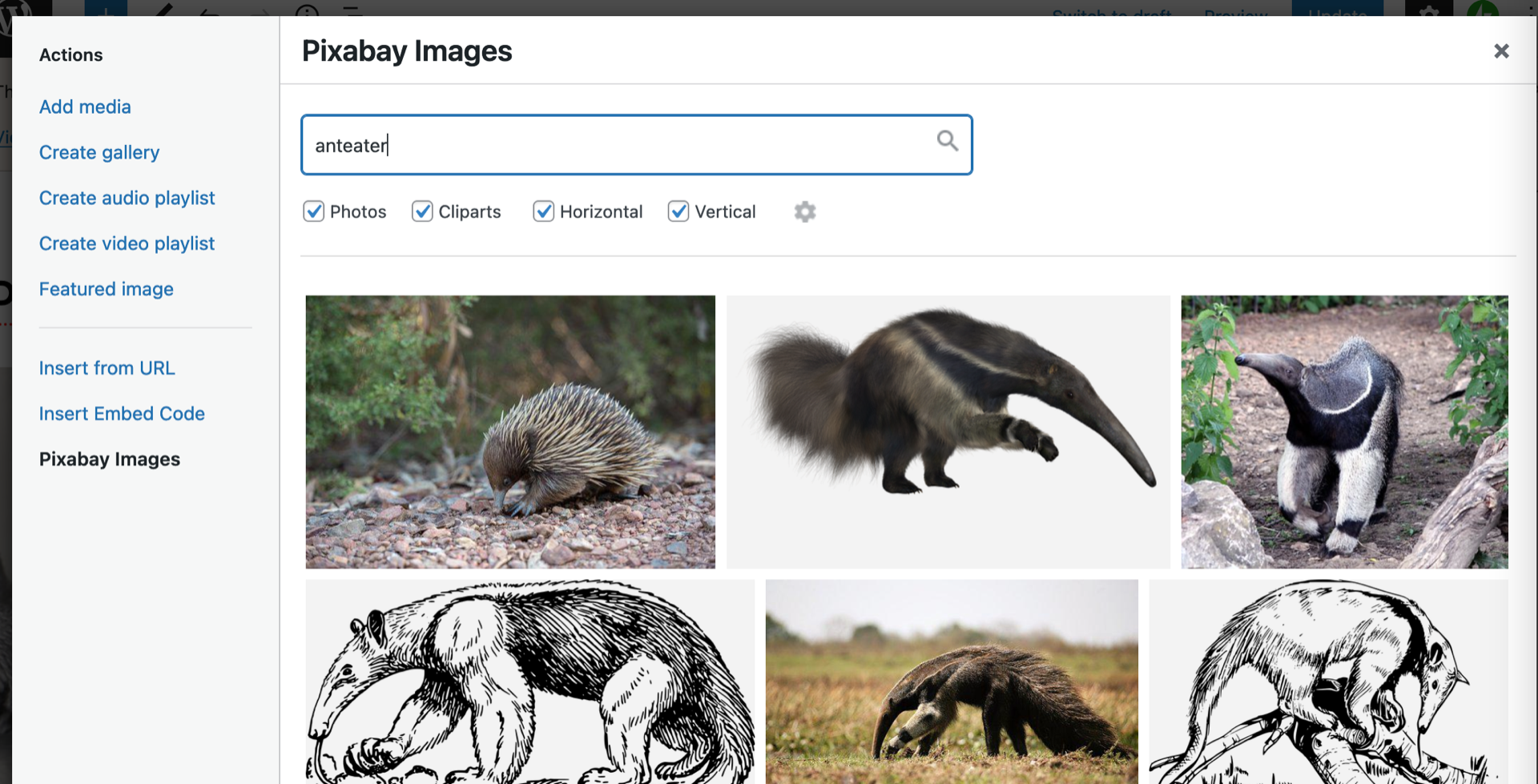 Pixaby search for "anteaters"