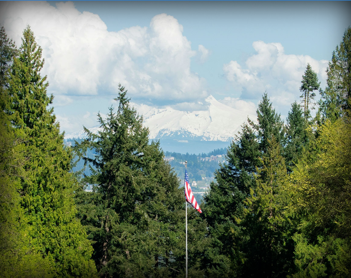 Trees and American flag. Snowy mountains in the background.