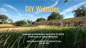 DIY Websites slide deck cover